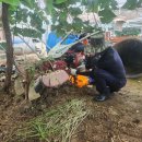 대동농기계수리 이미지