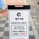 애견카페 제니콩콩 이미지