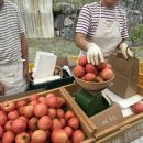 매봉농장 이미지