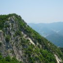 거창-주상-5 이미지