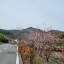 소소락락 이미지