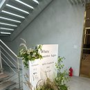 삼영빌딩 | w.홀투어 | 세인트메리스 강남 후기, 2026년 하반기 견적공유/서울 밝은홀 (계약X)