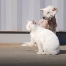 지혁목장 이미지