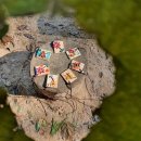 명호초등학교,병설유치원 이미지