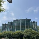 비발디파크 소노펫리조트 방문 후기