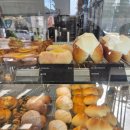 바셋하운드 | 바셋 하운드 솔직후기 낋여옴