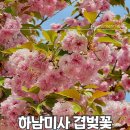 자유공원(장애인화장실) | 경기도 겹벚꽃 명소 하남 미사경정공원 주차장 화장실