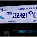 식감이예술인 포항맛집 밍크고래와 참다랑어