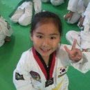 보성태권도 이미지