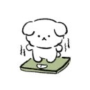 바디필짐 이미지