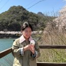 전주 완산구 성형외과 스킨부스터 셀르디엠 후기, 탄력 고민 해결해본 리얼 경험