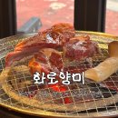 램프로양꼬치구이전문점 | [뚝섬 맛집] 화로양미, 성수동 양꼬치 맛집 추천 후기