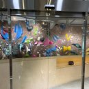 홍대입구역 4번 출구, CGV 앞 이미지