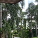 오렌지 당구장 | 나트랑 아미아나리조트 조식후기 키즈룸 부대시설