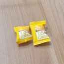 뉴퀸노래연습장 | 퀸 크라이 에브리데이: 매일 울지만 엄청 빨리 닦는 거야