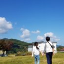 금와목장 이미지