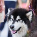 서리풀동물병원 이미지