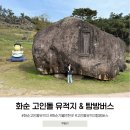 화순고인돌유적지(선사체험장밖) | 화순 고인돌 유적지 탐방버스 투어