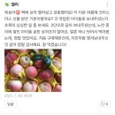 영덕농장 | 여름제철과일,아모레농장복숭아,영덕복숭아 전국택배 주문받아요^^