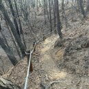 숲속향기생태어린이집 이미지