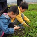 성수월마을 이미지