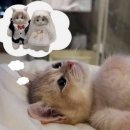 6721 | [W2] 플래너님 없인 결혼 못해 :: 베리굿 김지원 플래너 워니플 계약후기