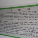 금사호가 이미지