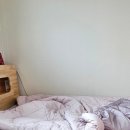 세사리빙 부천남부점 이미지