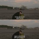 오리면 돼지 | 초여름의 날들 🎐