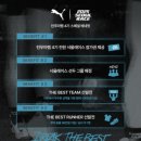 팸 이미지