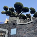 오아시타호스텔 이미지