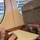 공항슈퍼 | 오사카 라피트 슈퍼시트 이용후기 간사이공항 난카이난바 난바파크스 할인