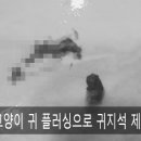 이도메디컬 이미지