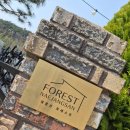 내장산 | 정읍가족펜션 내장산포레스트 후기, 봄 힐링 제대로