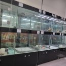 개 이쁘개 이미지