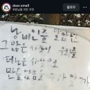 이레태권도 | 가을가을가