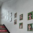 댕댕아 학교가자 이미지