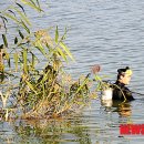 서천소방서-09 이미지