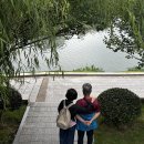 금호강변(롯데앞) | 효도여행 떠난 장가계 황룡동굴, 대협곡 패키지투어 2일차 (feat. 롯데관광&amp;금호관광)