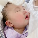 자연들마트 이미지