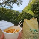 우리공판장 | 햇밤이 맛없는 이유. 직거래vs대형마트 비교~! 충주 24년 햇밤, 군밤 이평밤 구매. [셰프출신 청년농부...