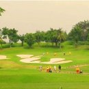 모아 골프랜드 이미지