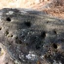 대곡리 암각화 이미지