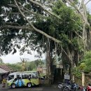 디딤돌농장 | 발리 인생샷 동부 투어 후기 - 렘푸양 사원(천국의 문), 뜨리따 강가, 커피농장, 뜨갈랄랑, 폭포