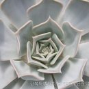 금호이사 네이버블로그