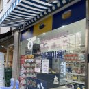 마석중학교 | 마석 애견용품 24시 무인애견용품점 도그마캣 남양주창현점 솔직후기