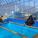 우천가축인공수정소 | 겨울철 아이들의 놀이터 경주 국민힐링파크