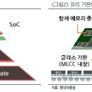 에스이에이 이미지