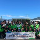 청년모종 이미지