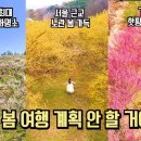 3월 국내 여행 이제는 봄 여행 계획할 때 추천 여행 BEST 이미지